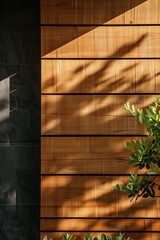 a natural wood wall outside a modern house