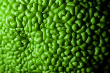texture of green fruit rind macro closeup