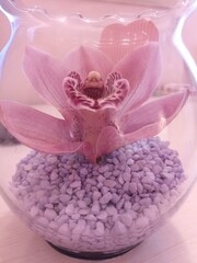 Obraz na płótnie Canvas Beautiful pink Orchid. Beautiful Nature