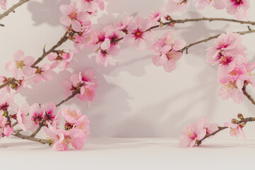 Présentation pour arrière plan de fleurs d'amandiers et d'un espace vide sur un fond blanc....