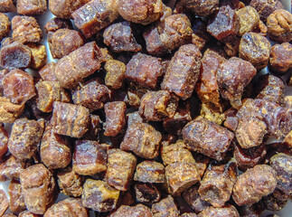 Group of bee bread (pastura in romanian). Macro bee bread