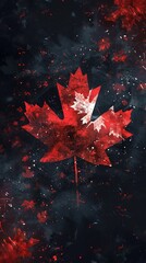 Canada Flag National Holiday Fireworks