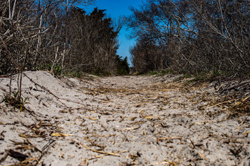 Narrow, Sandy Trail