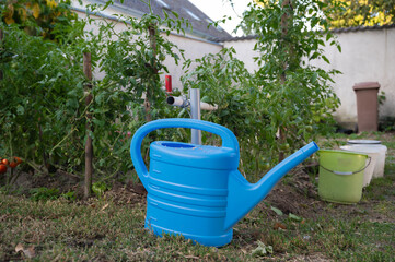 gardening tools,  blue watering can for watering plants. Garden and lawn care