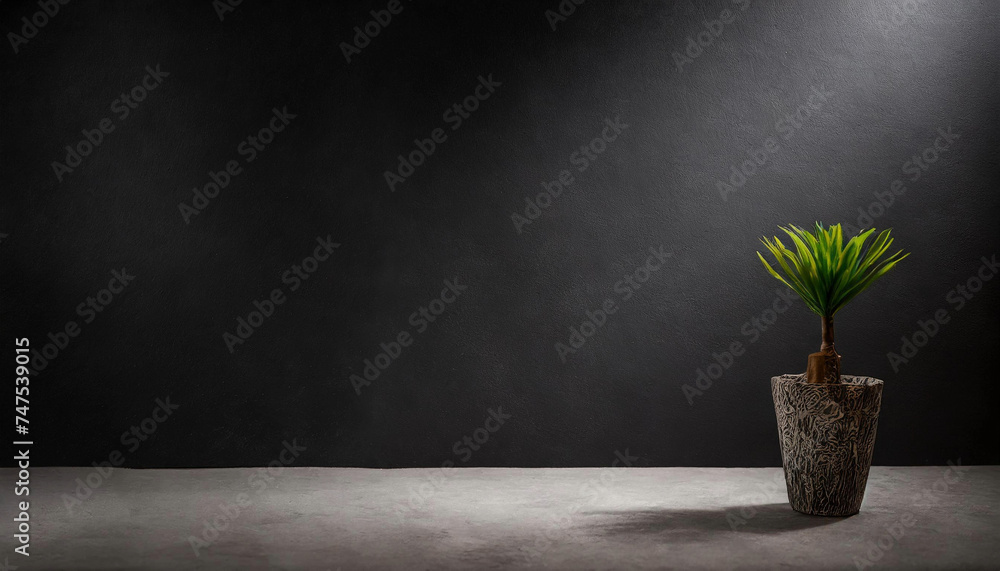 Poster a visually striking image featuring a plant in a pot on a concrete floor in an empty room, with a bl