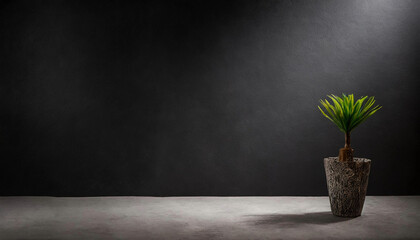 A visually striking image featuring a plant in a pot on a concrete floor in an empty room, with a black wall background and a bright spotlight creating captivating shadows. - obrazy, fototapety, plakaty