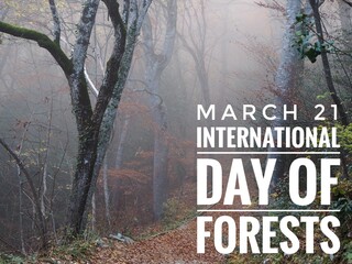 March 21 International day of Forests background with text and trees