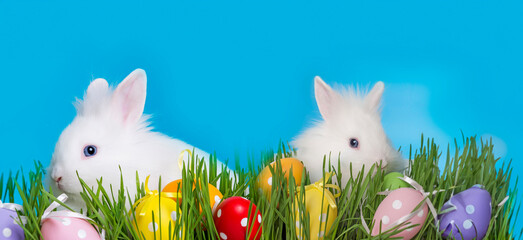 little white rabbit and easter eggs - 747541039