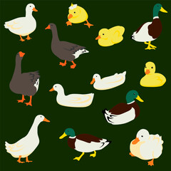 Duck and Ducklings Illustration