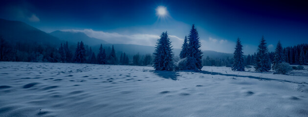 winter landscape - 747543647