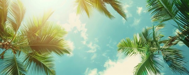 Palm Sunday concept: green palm tree leaves on natural sky - obrazy, fototapety, plakaty