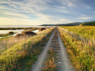 Schotterstrasse am Lake Ellesmere, Canterbury, Südinsel, Neuseeland, Ozeanien