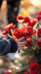 Australia National Day. Child hand holding red poppy flowers. Remembrance Day. Veterans Day. ANZAC Day. Lest we forget concept.