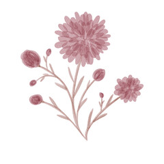 Floral Pink Watercolor