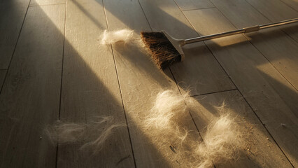 Sweeping Brush and Pet Fur: Clean-up Essentials