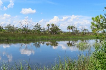 Beautiful view on rivers and marshes in North Florida nature