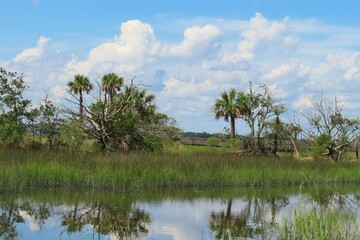 Beautiful view on rivers and marshes in North Florida nature