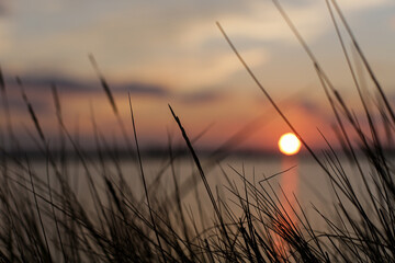 Magico tramonto sulle saline di cervia in mezzo a file d'erba e salicornia. Suggestiva immagine...
