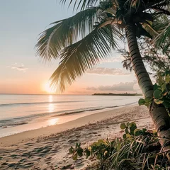 Foto op Plexiglas Beautiful sunrise over the sea on the beach with a beautiful large and long sandy beach with palm trees © Marietimo