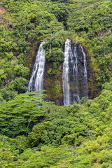 Fototapeta na wymiar Kauai Opaeka'a Falls