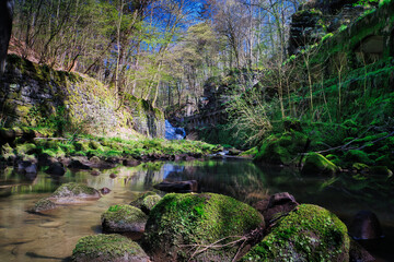 Fototapete bei efototapeten.de bestellen   