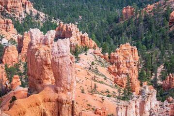 Fototapeta na wymiar Bryce Canyon National Park, Utah.