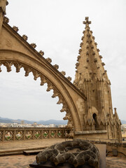 Obraz premium Stone carved flying buttress of Palma Cathedral