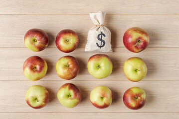 Apples and Money Bag with dollar sign on Wooden Surface - 747566046