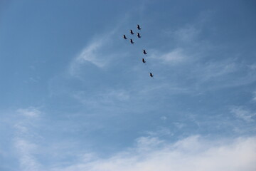 Patrouille de France