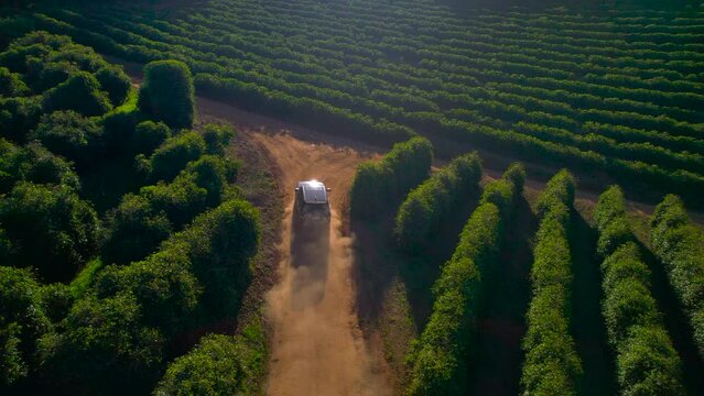 Coffee farmers producing specialty coffees