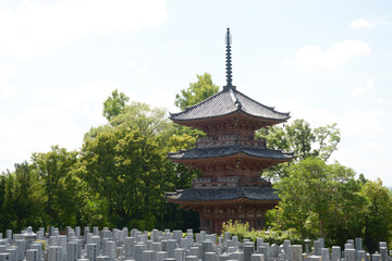 Fototapeta premium 宝積寺 三重塔 京都府乙訓郡大山崎町