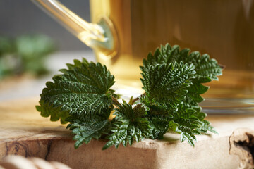 Fototapeta premium Closeup of fresh nettles with a cup of herbal tea in the background