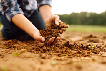 Farmer holding soil in hands close-up. Ecology, agriculture concept.