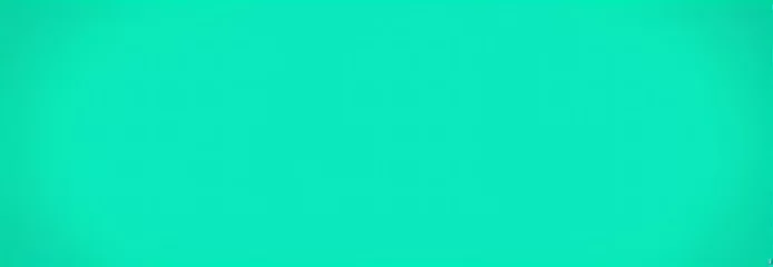 Photo sur Aluminium Corail vert A clean background in mint green or turquoise. Soft Panoramic Gradient, for website design, advertising, banners or as a background for text.