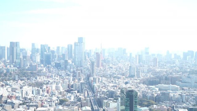 渋谷からみた都市景観