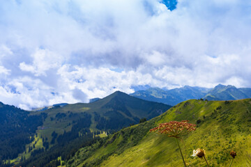 Montagne châtel  pour les vacances 