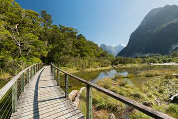 Fototapeta na wymiar Steg am Milford Sound, Fiordland Nationalpark, Southland, Südinsel, Neuseeland, Ozeanien