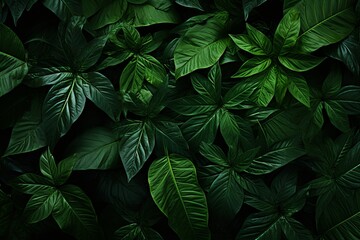 Beautiful Monstera tropical green leaves plants background, 3d rendering