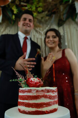 Engagement Cake and Valentines