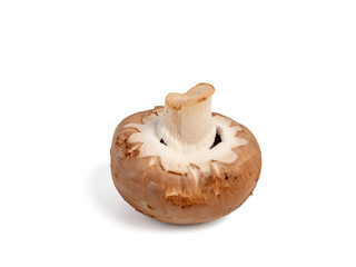 Champignon mushrooms on a transparent PNG background. Champignon mushrooms close-up.