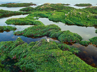 Felsformationen auf der Kaikoura Peninsula, Canterbury, Südinsel, Neuseeland, Ozeanien