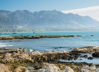 Küste auf der Kaikoura Peninsula, Seaward Kaikoura Range, Canterbury, Südinsel, Neuseeland,...