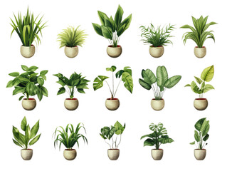 A set of the tropical green flowers in  plastic decorative container isolated on transparent background