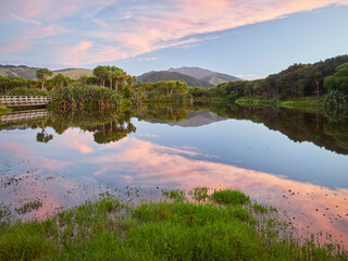 Wetland Ponds, Queen Elizabeth Park, Paraparaumu, Wellington,  Nordinsel, Neuseeland, Ozeanien