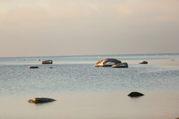 Winter Landscape. Rocks in the sea with snow