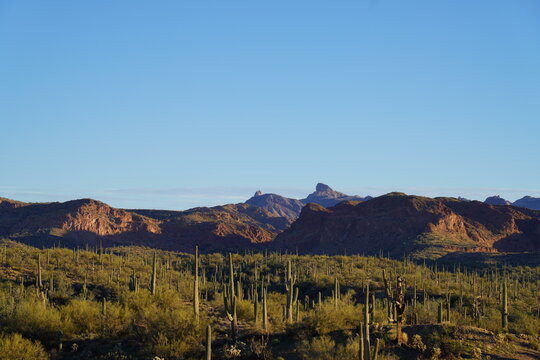 Dawn in the desert of Pinal County, Arizona. 