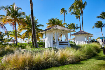 Poolside amongst gardens, palm trees, and cabanas on a beautiful blue sky day in Puerto Rico