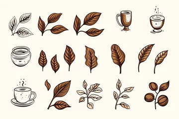  Coffee beans and coffee elements doodle line art illustration on white background © pixeness