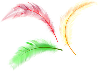 Obraz premium Flying realistic vector goose or swan colored feathers.Ecological feather filler for pillows, blankets or jackets.Vector concept design. 