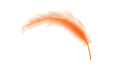 Flying realistic vector  goose or swan orange feathers.Ecological feather filler for pillows, blankets or jackets.Vector concept design.

